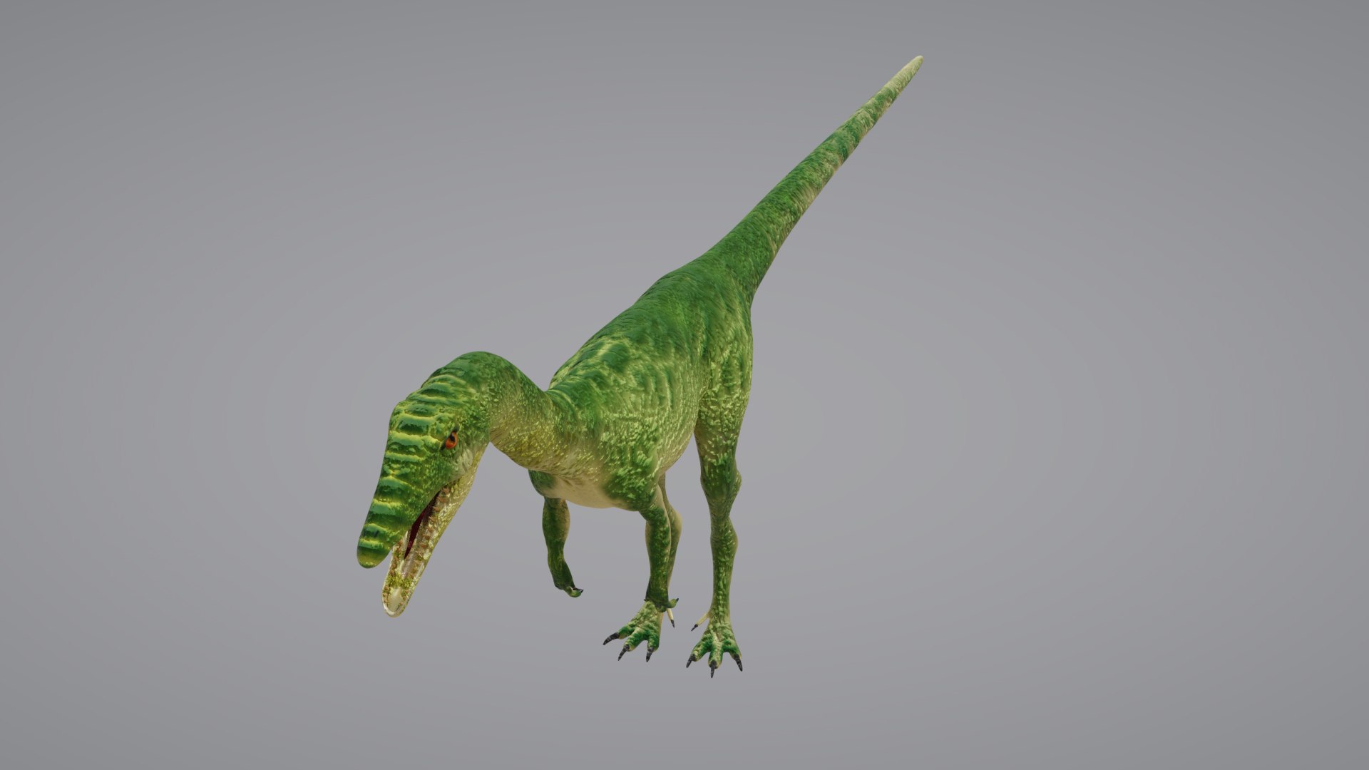 Coelophysis 3D https://p.turbosquid.com/ts-thumb/xJ/DUZNzv/b7/coelophysis02/png/1652830232/1920x1080/fit_q87/568bf660014d9ab84db7f1e2ffad0b45acbab7b2/coelophysis02.jpg