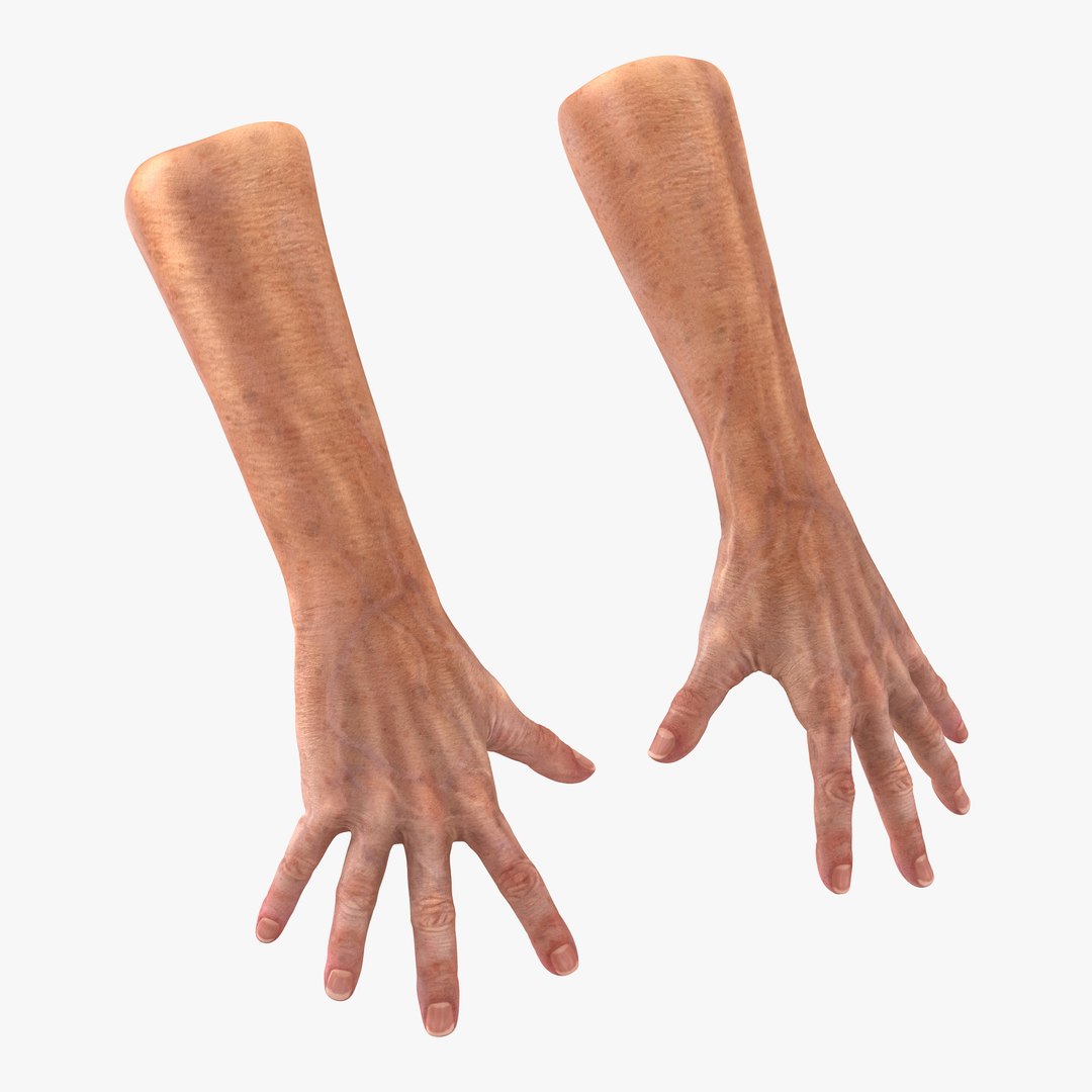 Old Man Hands 2 Pose 4 3D Model 3D model preview