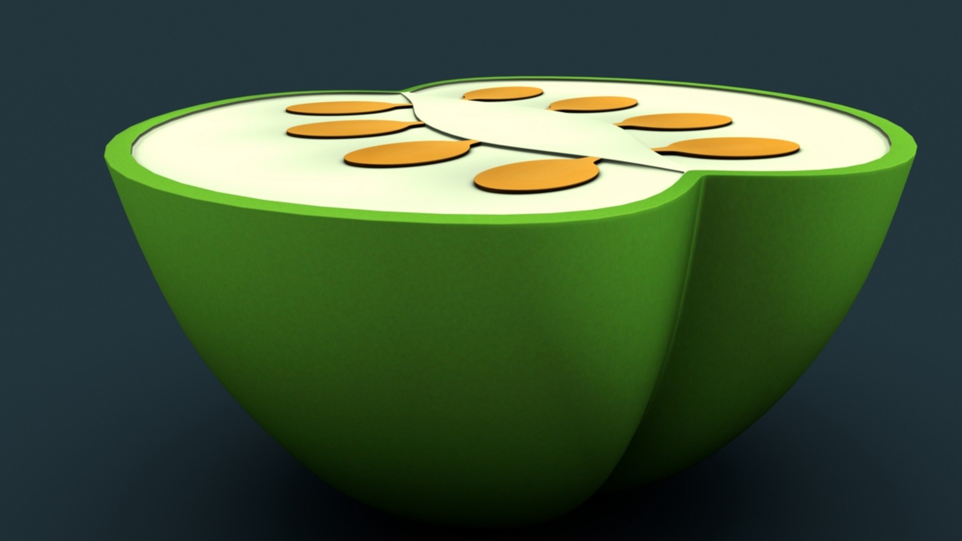 3D Biology Bilocular Ovaries TurboSquid 1264416