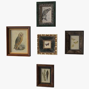 Vintage Ornate Frames Set