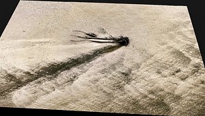 3D desert sand terrain broken tree trunk PBR photogrammetry