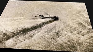 desert sand terrain broken tree trunk PBR photogrammetry