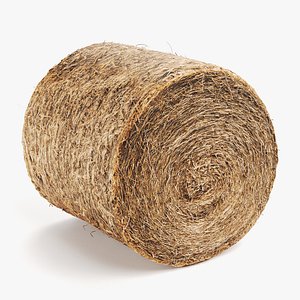 Hay Bale