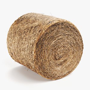 Hay Bale