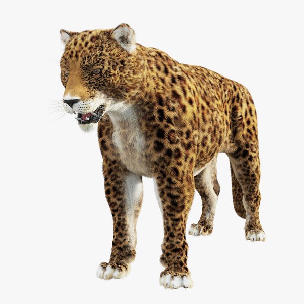 3D Jaguar Panthera Onca