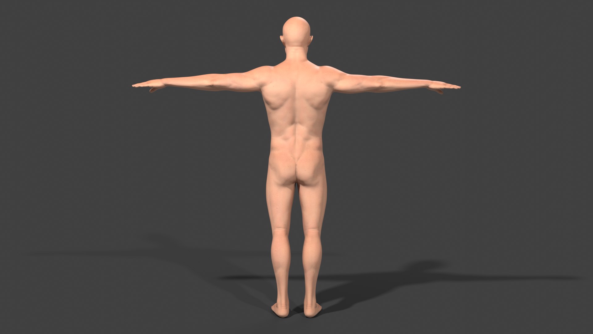 3D Realistic White Male - Rigged https://p.turbosquid.com/ts-thumb/xJ/uNF7Wj/2e/render_06/png/1714390289/1920x1080/fit_q87/e1d146fb86a762c9493557d28522e3a772f0b618/render_06.jpg