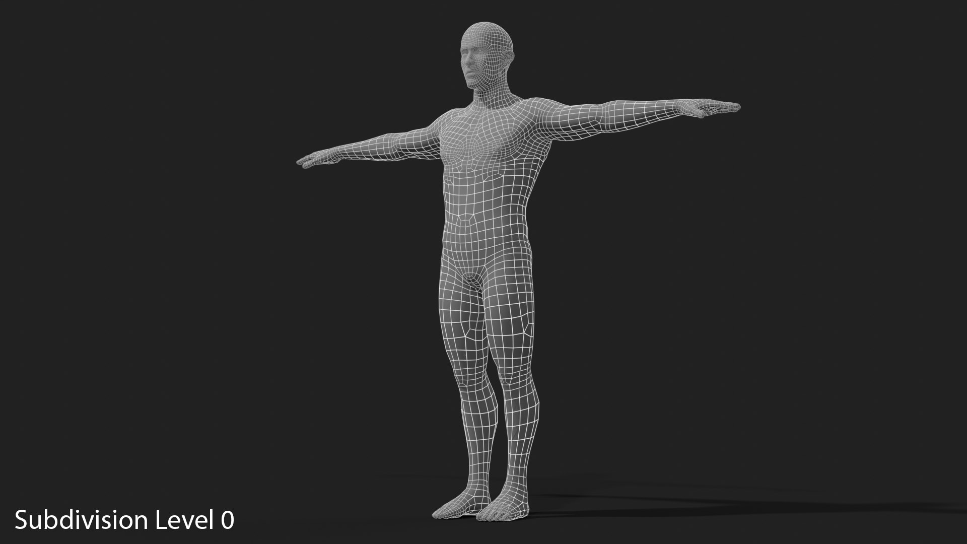 3D Realistic White Male - Rigged https://p.turbosquid.com/ts-thumb/xJ/uNF7Wj/6A/wireframe_10_subdivision_level_0/png/1714390301/1920x1080/fit_q87/4025716463304e758c5a7d207f2ae83b573da539/wireframe_10_subdivision_level_0.jpg