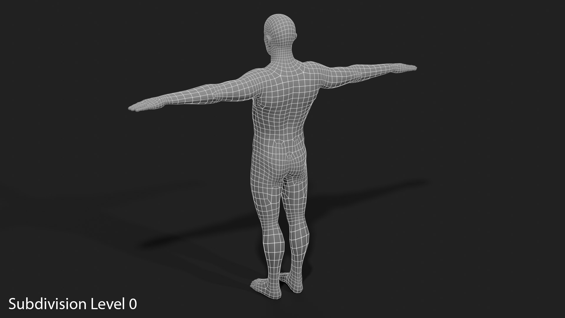 3D Realistic White Male - Rigged https://p.turbosquid.com/ts-thumb/xJ/uNF7Wj/ET/wireframe_09_subdivision_level_0/png/1714390300/1920x1080/fit_q87/c47dcfb81cea8156e306e4f8b0af262e5964da3b/wireframe_09_subdivision_level_0.jpg