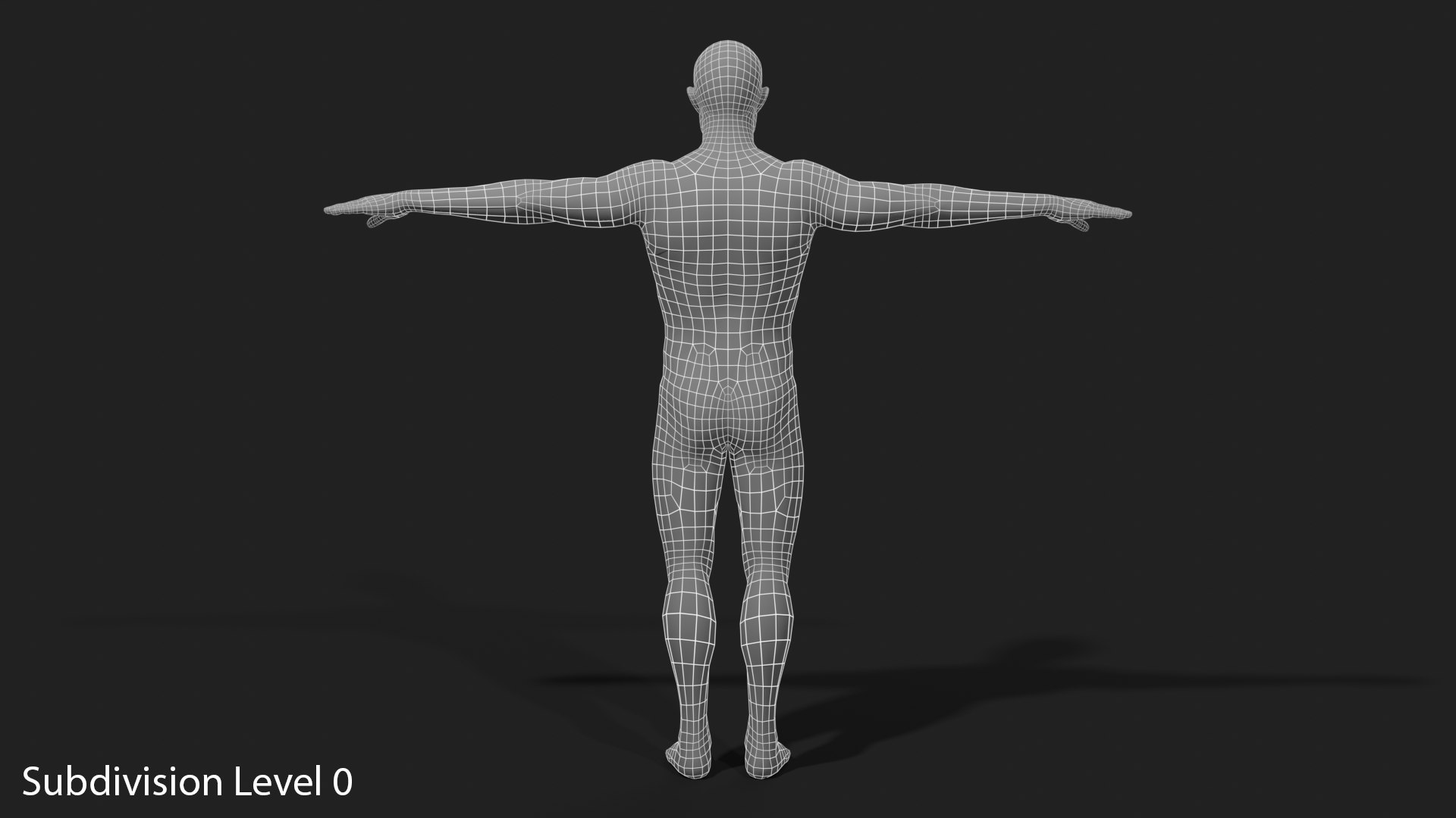 3D Realistic White Male - Rigged https://p.turbosquid.com/ts-thumb/xJ/uNF7Wj/Jf/wireframe_05_subdivision_level_0/png/1714390297/1920x1080/fit_q87/71e11b5a806d2c155ee7e6c56c33837e1c726fb1/wireframe_05_subdivision_level_0.jpg