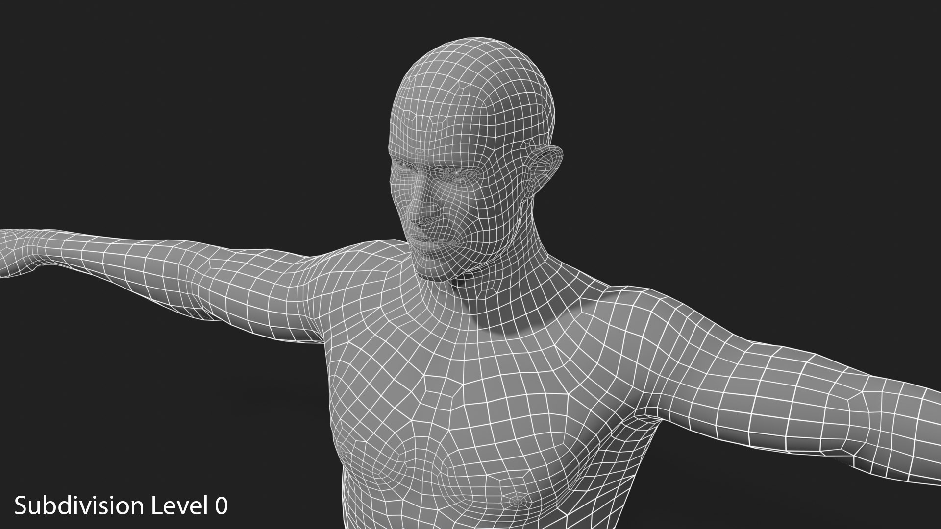 3D Realistic White Male - Rigged https://p.turbosquid.com/ts-thumb/xJ/uNF7Wj/WZ/wireframe_03_subdivision_level_0/png/1714390296/1920x1080/fit_q87/ebb2c992aa794acfba222563b6a30661ebf56ba7/wireframe_03_subdivision_level_0.jpg