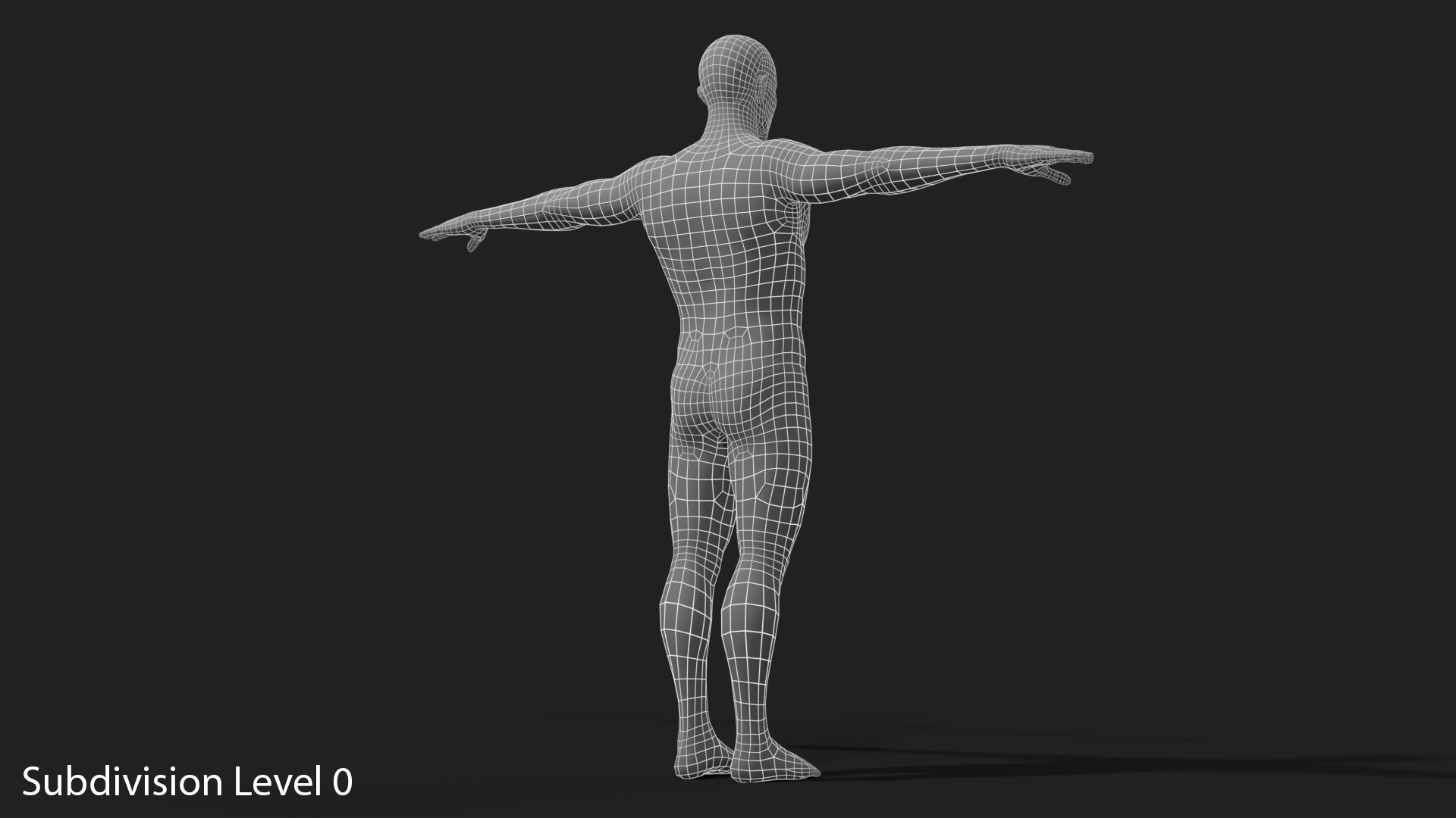 3D Realistic White Male - Rigged https://p.turbosquid.com/ts-thumb/xJ/uNF7Wj/Yo/wireframe_11_subdivision_level_0/png/1714390300/1920x1080/fit_q87/504f093bcdaa5aac04995329ee426e7ed6029730/wireframe_11_subdivision_level_0.jpg