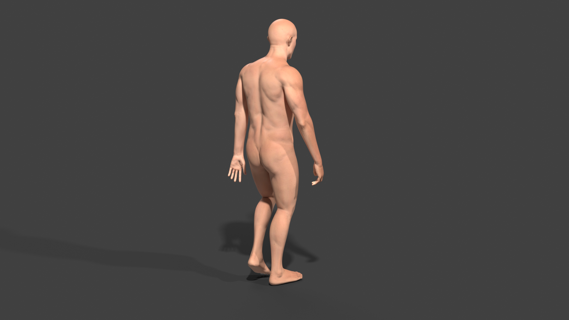 3D Realistic White Male - Rigged https://p.turbosquid.com/ts-thumb/xJ/uNF7Wj/ZA/walkingback/png/1714391145/1920x1080/turn_fit_q99/d4330b6780709f6aa49577ed61f674490b79df6f/walkingback-1.jpg