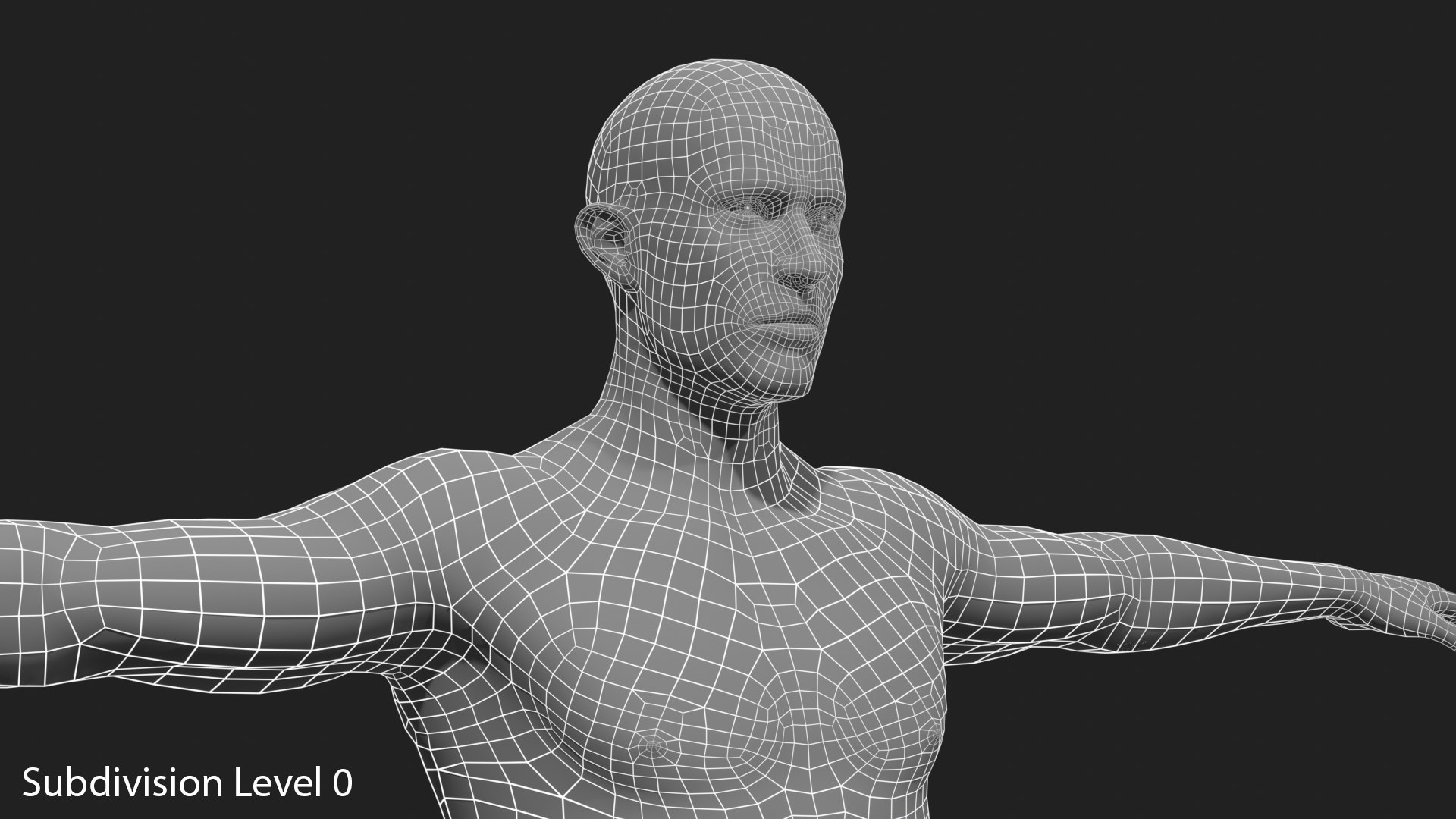3D Realistic White Male - Rigged https://p.turbosquid.com/ts-thumb/xJ/uNF7Wj/xr/wireframe_02_subdivision_level_0/png/1714390296/1920x1080/fit_q87/fe4fc4419e9e760f2a19aef580aaa0bef08e409b/wireframe_02_subdivision_level_0.jpg