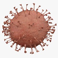 Coronavirus 2019-nCoV 02
