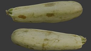 3D Zucchini Scan model