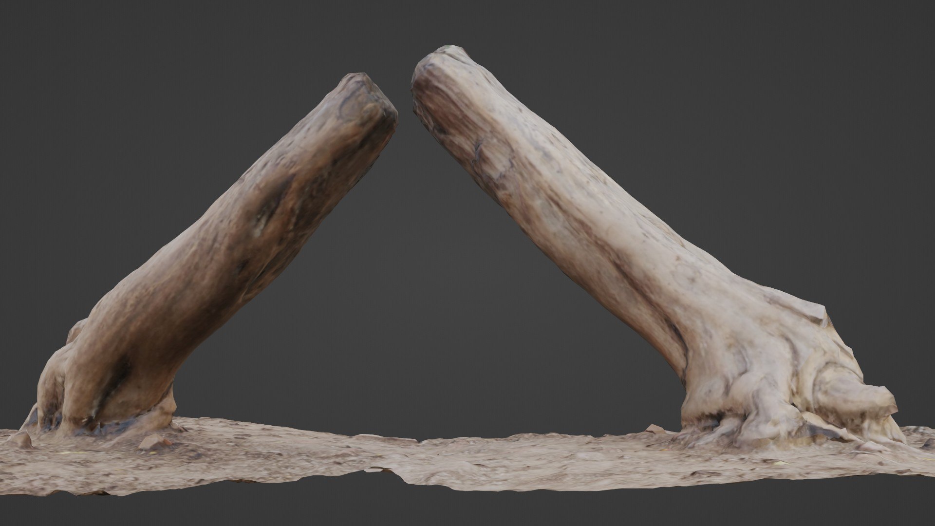 Scan Trunk 3D Model - TurboSquid 2329437