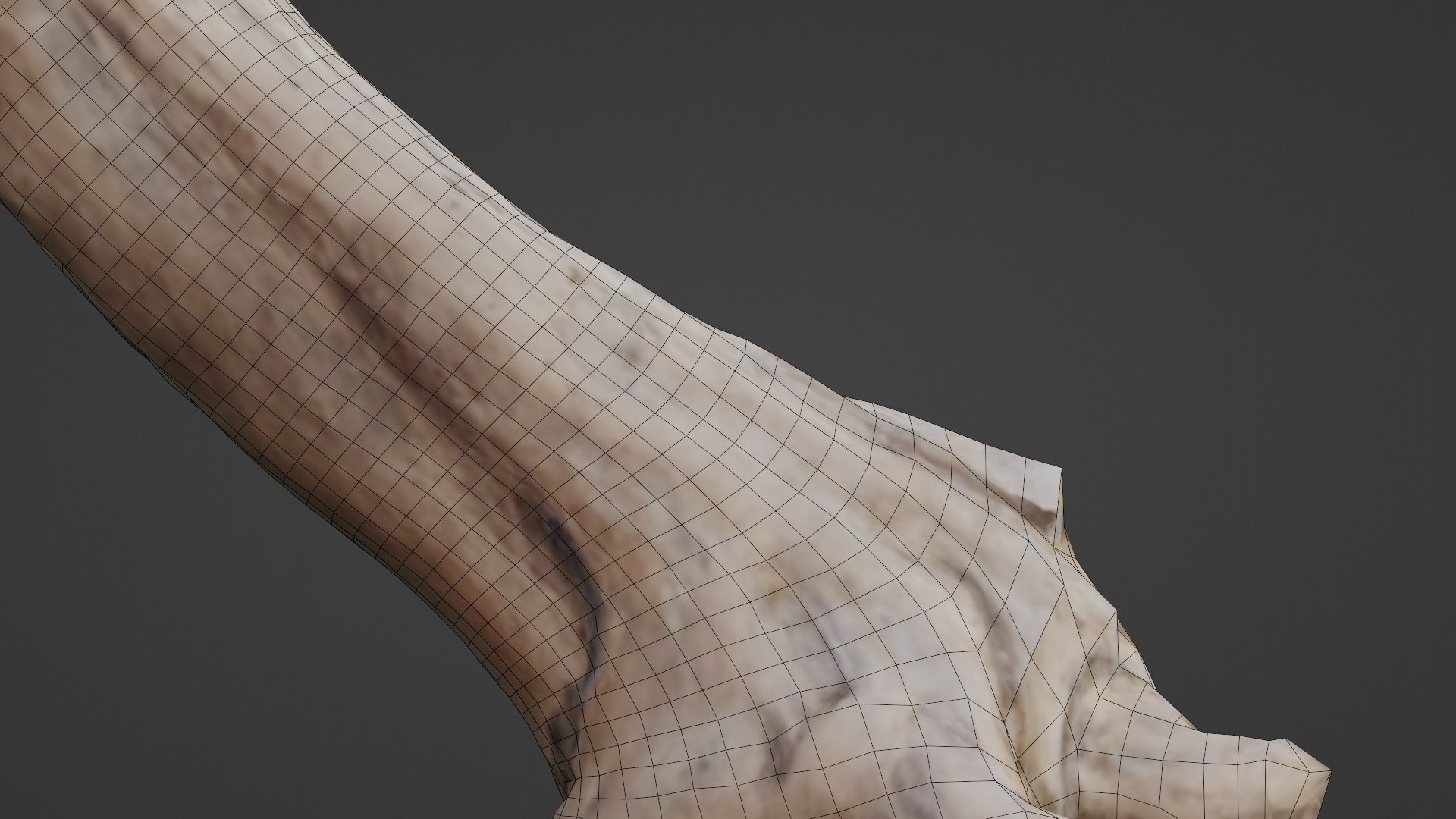 Scan Trunk 3D Model - TurboSquid 2329437