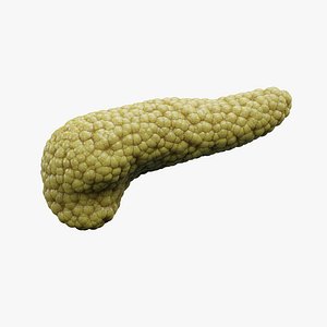 Pancreas