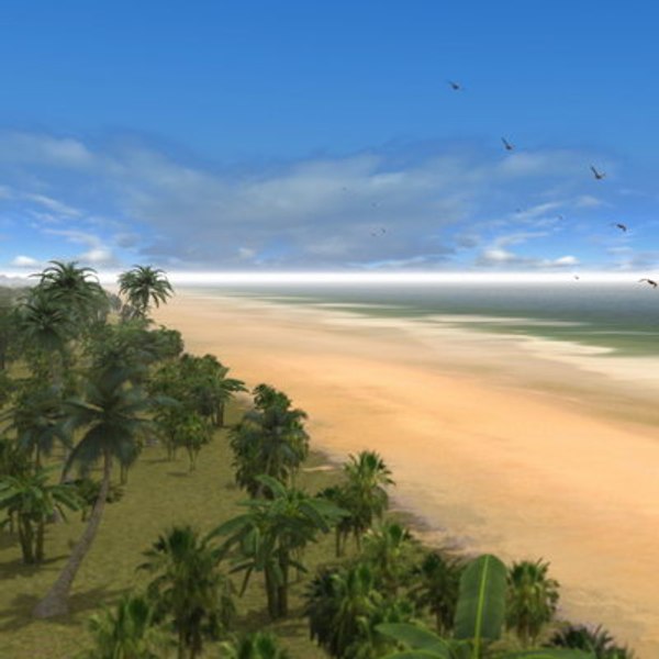 beach palms sand 3d max