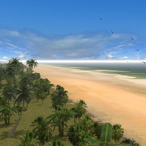 Beach Daylight
