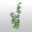 3d clematis tree flower