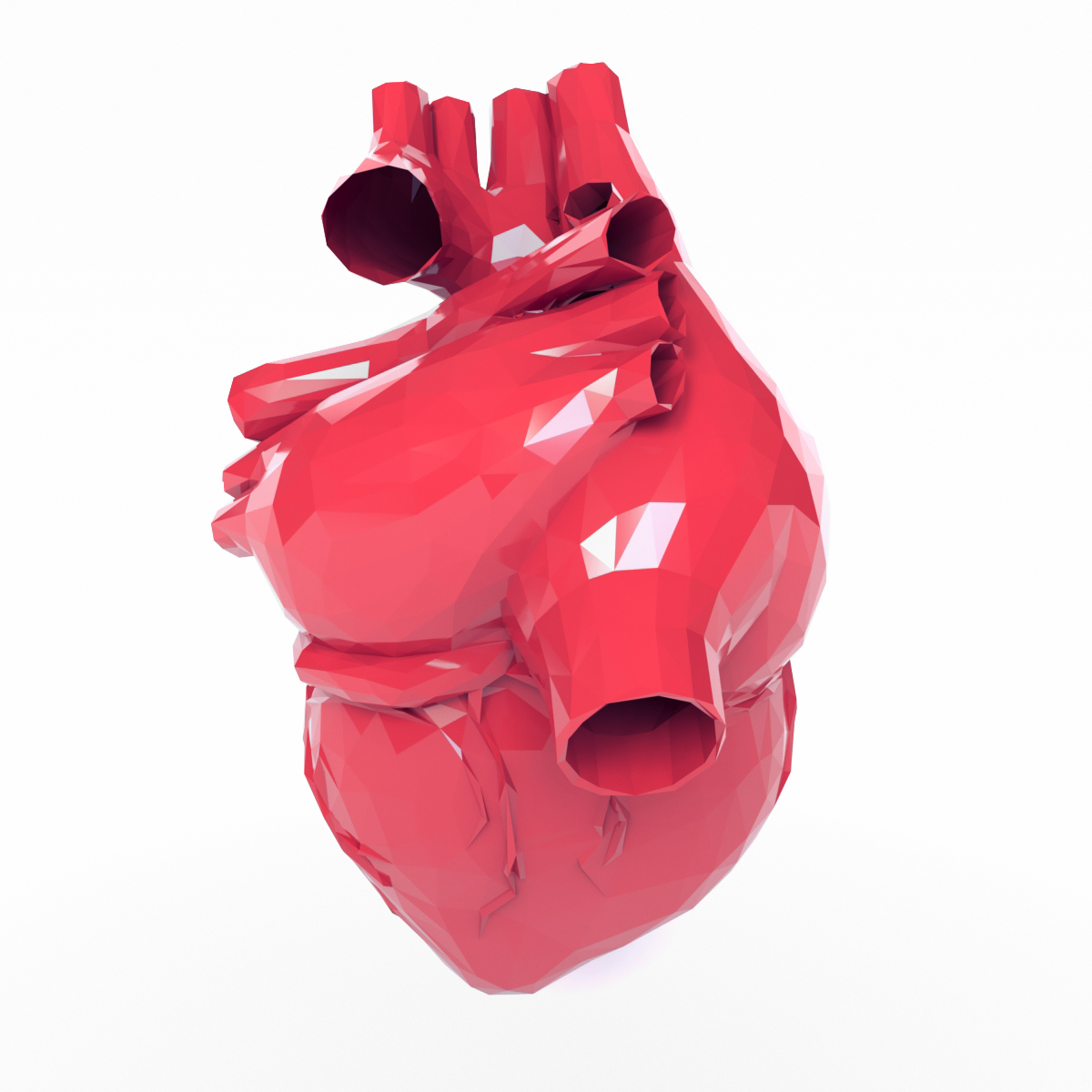 3d Heart Turbosquid 1237256