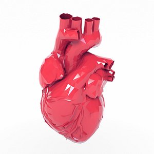 3D heart