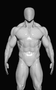 base mesh