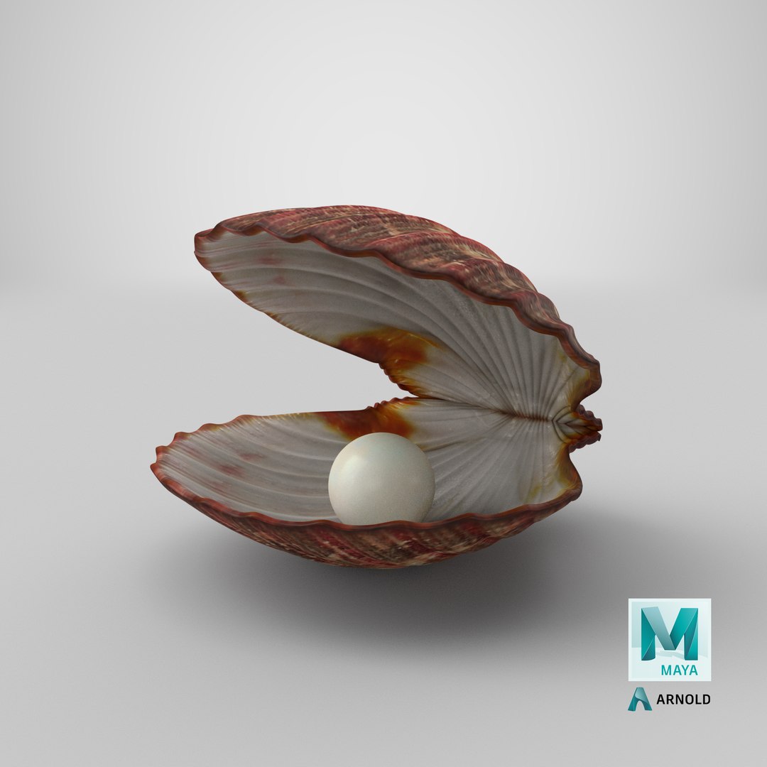 clam shell pearl 3D model https://p.turbosquid.com/ts-thumb/xK/cLWHUI/4cd5269N/stemcell_maya_arnold_render/png/1587625582/1920x1080/fit_q87/e67e49c1fdf4ea0d0b1629f5a5746446e9197e27/stemcell_maya_arnold_render.jpg