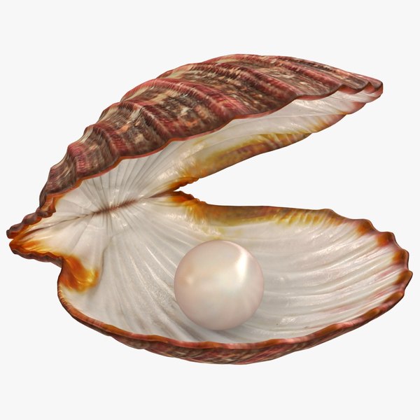 3D модель Ракушка моллюска с жемчугом - TurboSquid 1544998