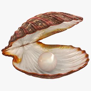 Clam Shell with Pearl