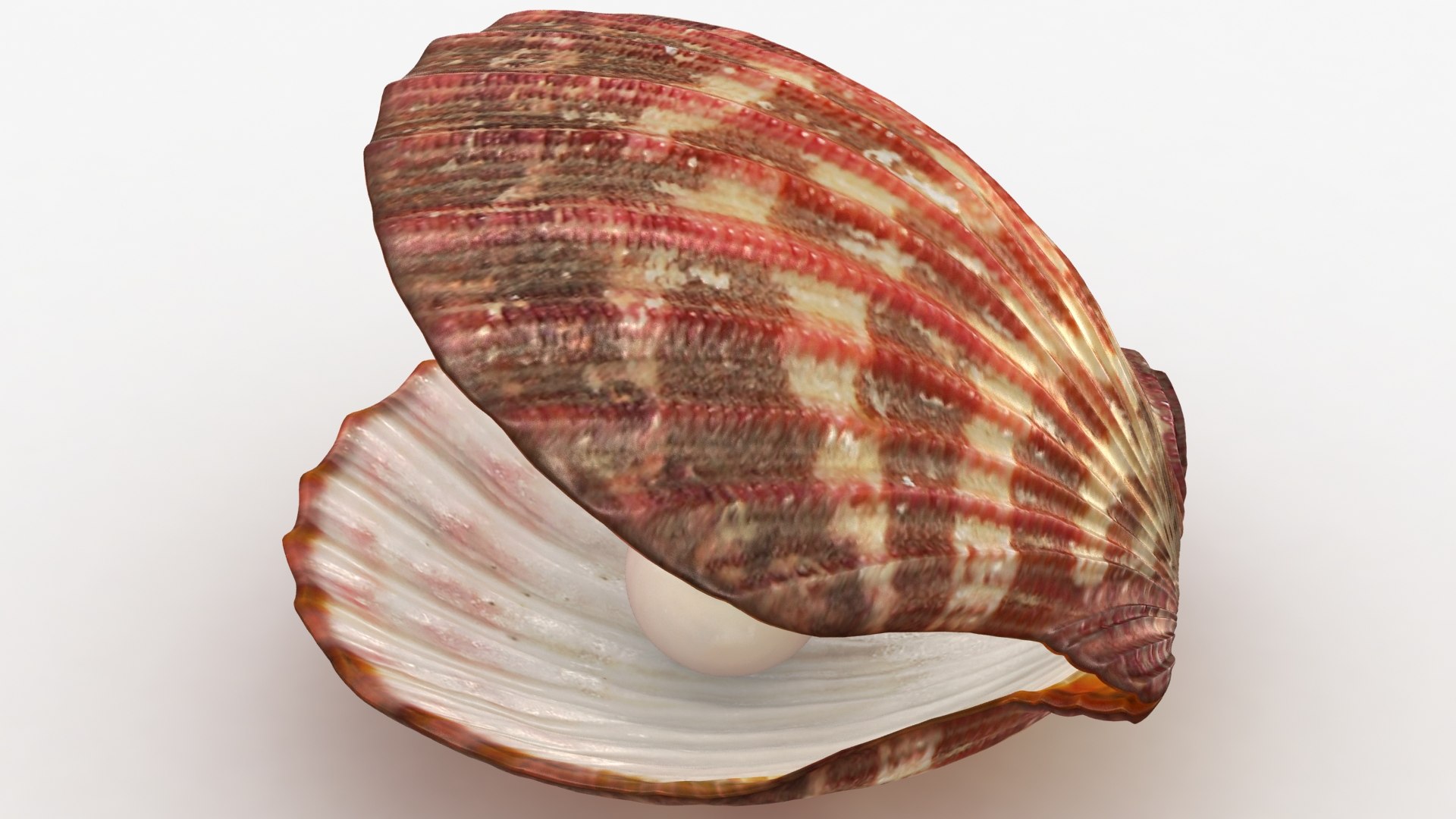 clam shell pearl 3D model https://p.turbosquid.com/ts-thumb/xK/cLWHUI/FTStvMya/lemon_rr_11/jpg/1587443154/1920x1080/fit_q87/da4f9a13f6447b0e7bbf5353eb4535592ba55b27/lemon_rr_11.jpg