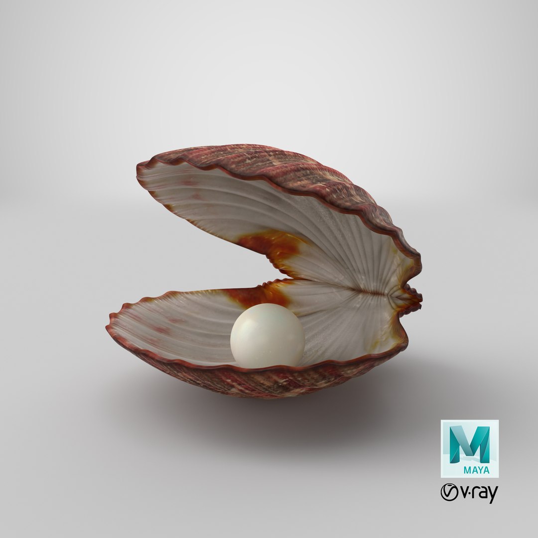 clam shell pearl 3D model https://p.turbosquid.com/ts-thumb/xK/cLWHUI/WwvO1KqS/stemcell_maya_vray_render/png/1587625589/1920x1080/fit_q87/270796d4a6627cd3d48f9658477c317585fba824/stemcell_maya_vray_render.jpg