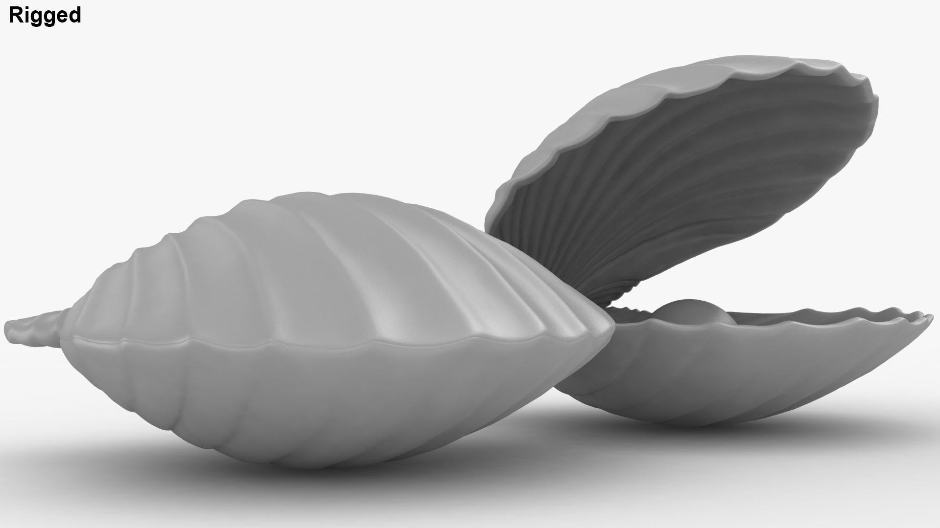 clam shell pearl 3D model https://p.turbosquid.com/ts-thumb/xK/cLWHUI/ab8RKCTB/lemon_rr_01a/jpg/1587443154/1920x1080/fit_q87/bb6b525dec46f37d252374950a70984ac2cb9bba/lemon_rr_01a.jpg