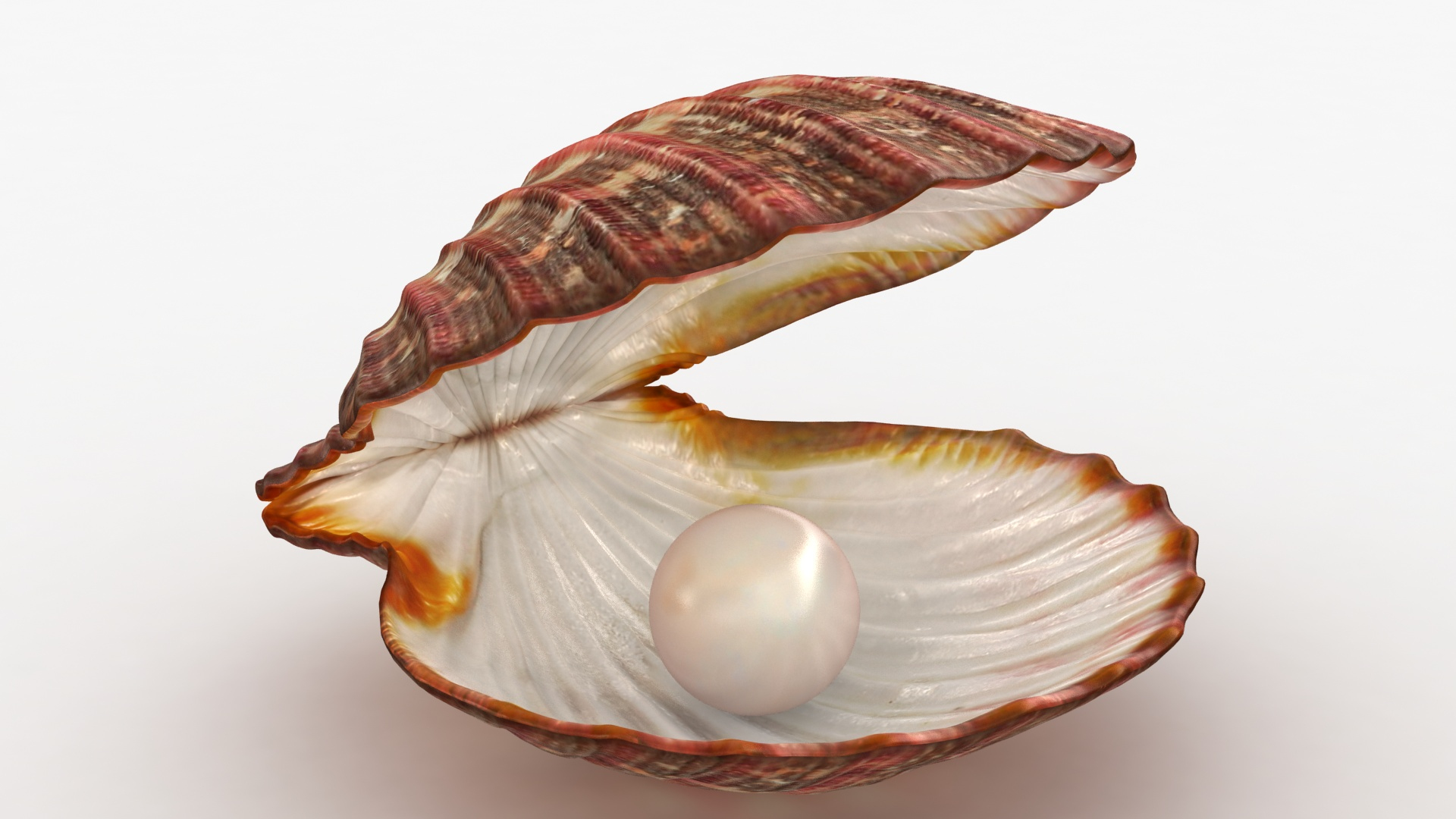 clam pearls