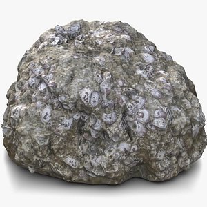 3D coral rock fossil 3 model
