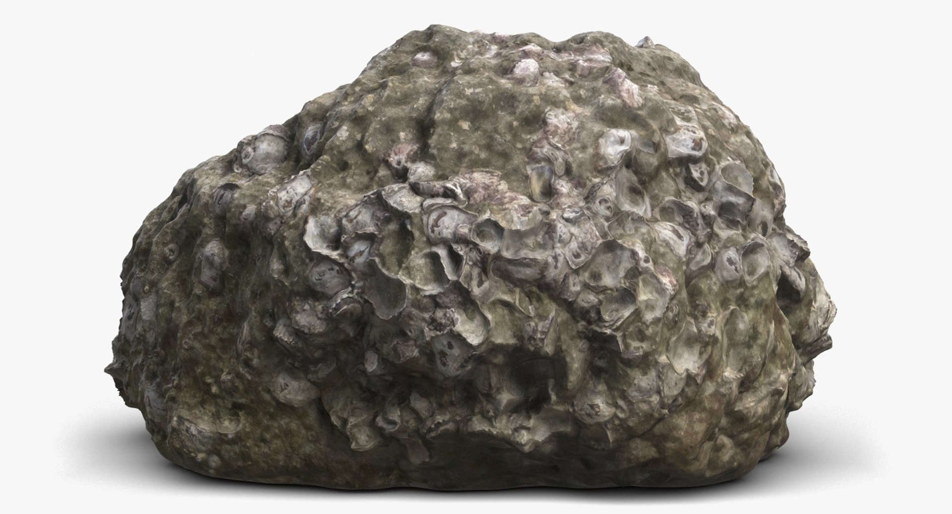 3D coral rock fossil 3 model https://p.turbosquid.com/ts-thumb/xK/l5eTLp/wb8dlpp5/1_beauty_coralrock3fossil_camera003_001/jpg/1498339269/1920x1080/fit_q87/248e9ca4eccde589be035d4cee06ef5bbc95600a/1_beauty_coralrock3fossil_camera003_001.jpg