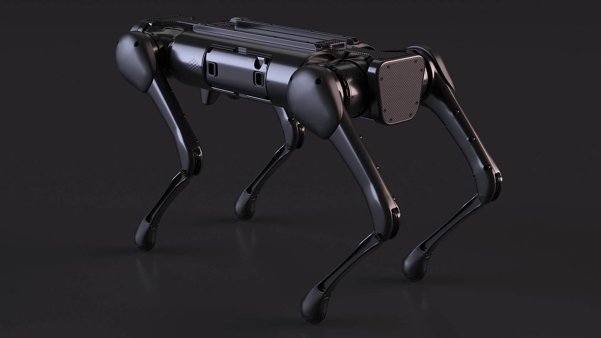 3D Robot Dog Rigged for Cinema 4D https://p.turbosquid.com/ts-thumb/xK/tiSund/X3/robot_dog_rigged_010/jpg/1771800236/1920x1080/fit_q87/704a2837331a0940a2f9699de1d02a7c2ae4cb44/robot_dog_rigged_010.jpg