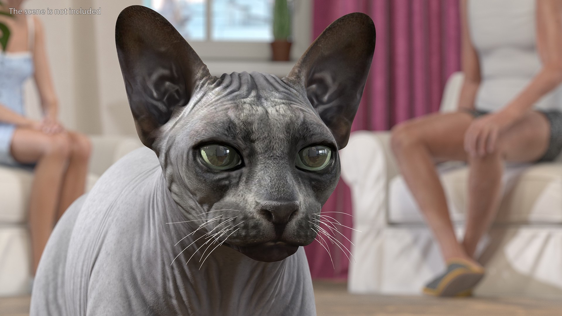 3D Cat Playing With A Red Scratching Post Rigged For Cinema 4D Model ...