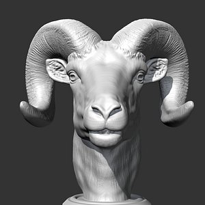 3D Bighorn sheep Head AM34 3D print model