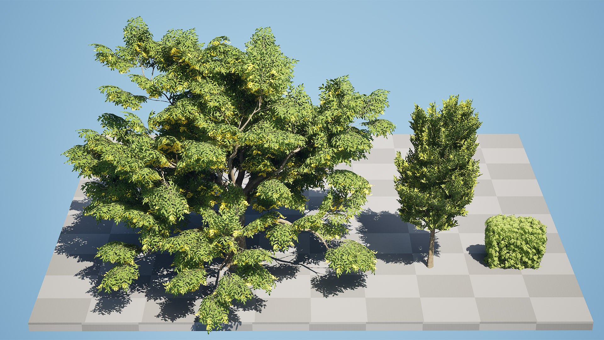 Carpinus betulus 3D Model Bundle 3D model https://p.turbosquid.com/ts-thumb/xL/1bPKtT/Eo/zhighresscreenshot00000/jpg/1753788901/1920x1080/fit_q87/2862b2dab35cb6bd3b6934201efac1690f1c3d49/zhighresscreenshot00000.jpg