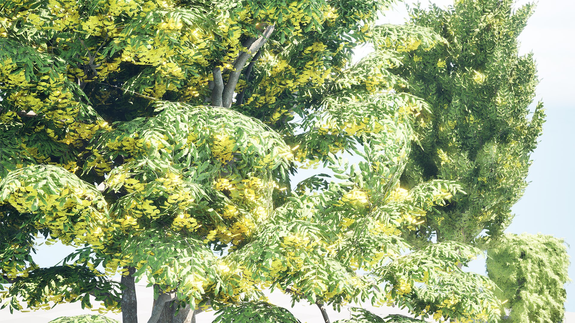 Carpinus betulus 3D Model Bundle 3D model https://p.turbosquid.com/ts-thumb/xL/1bPKtT/Kv/highresscreenshot00002/jpg/1753788896/1920x1080/fit_q87/b803c43c42ec159ce7cf9ec3a8f129fc8940d5ee/highresscreenshot00002.jpg
