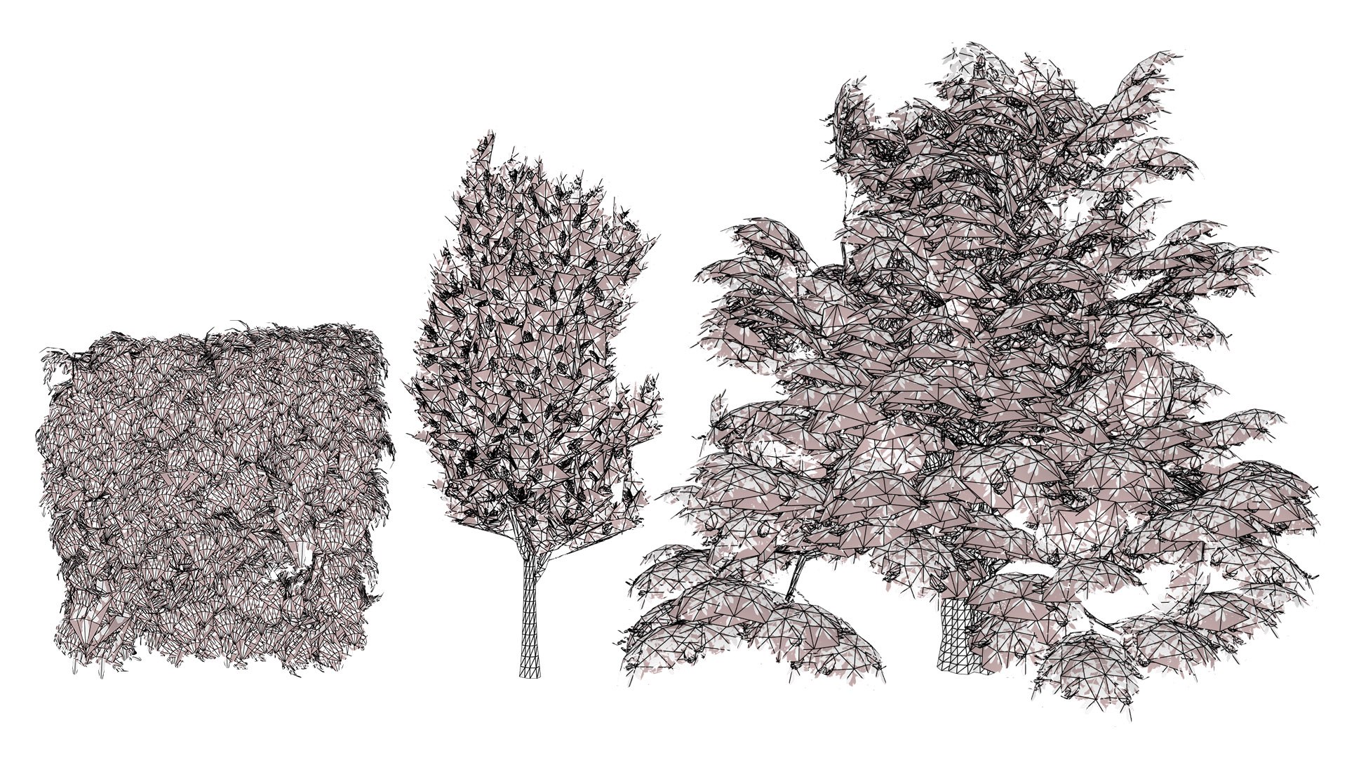 Carpinus betulus 3D Model Bundle 3D model https://p.turbosquid.com/ts-thumb/xL/1bPKtT/U7/wirel/jpg/1753788899/1920x1080/fit_q87/d9ea98f42c507492a72da6494ab383c161a5386b/wirel.jpg