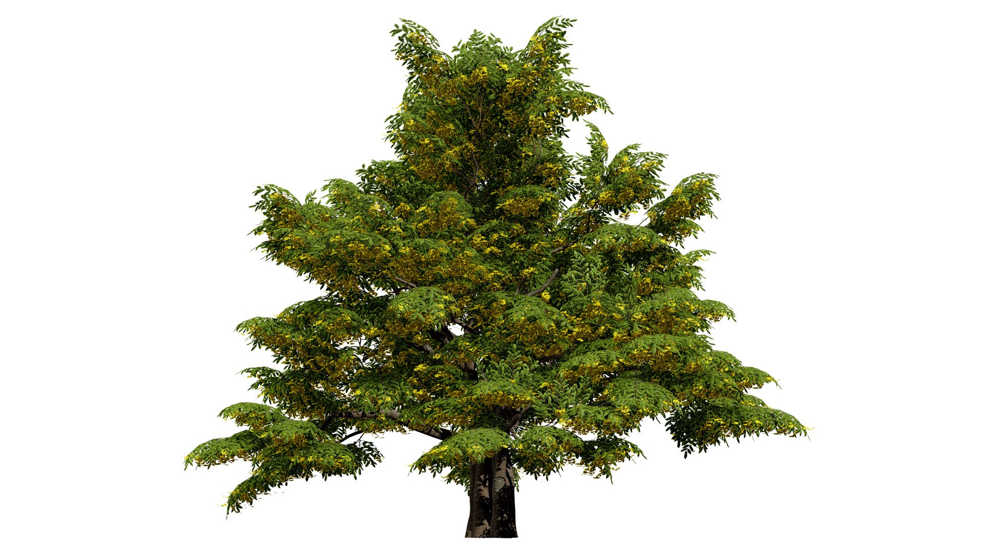 Carpinus betulus 3D Model Bundle 3D model https://p.turbosquid.com/ts-thumb/xL/1bPKtT/gp/01ukhedgerowhornbeamcarpinusbetulusversion1l/jpg/1753788889/1920x1080/fit_q87/9228620a9fa2e420b23742f6f5c42a799393dff9/01ukhedgerowhornbeamcarpinusbetulusversion1l.jpg