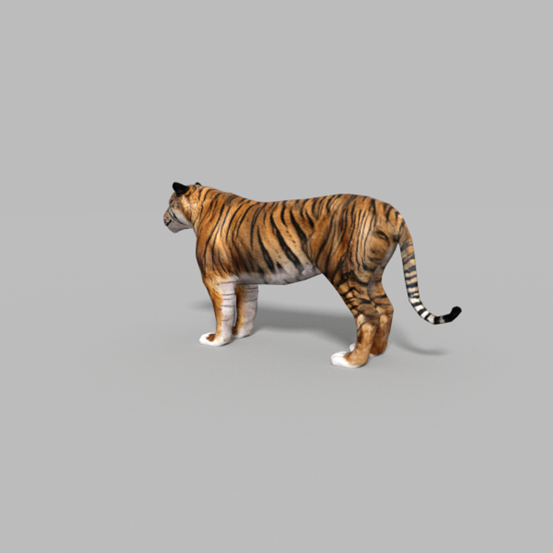 Bengal Tiger Blend