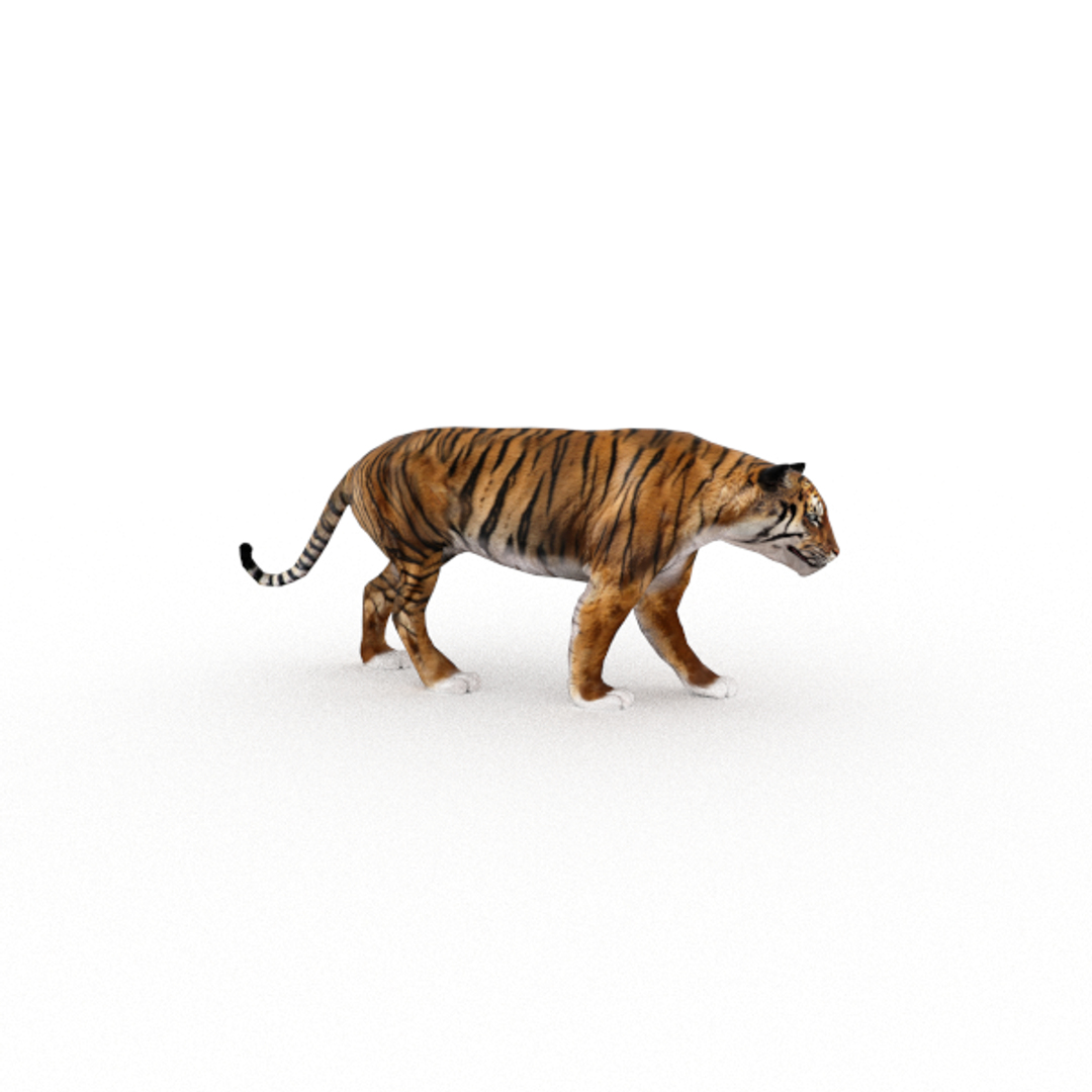 Bengal Tiger Blend