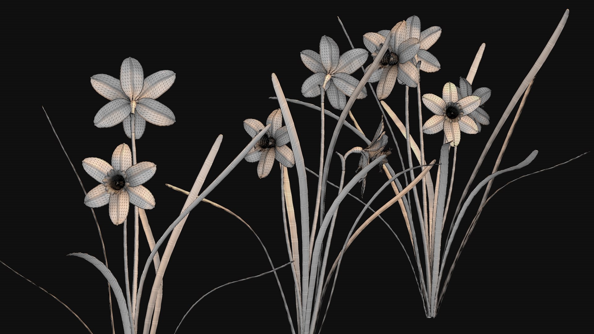 3D Narcissists narcissus model https://p.turbosquid.com/ts-thumb/xL/CJaQHR/2k/narcissistsnarcissus7/jpg/1748733515/1920x1080/fit_q87/953bc673c02d064d2990c9af289310a23ff7b075/narcissistsnarcissus7.jpg