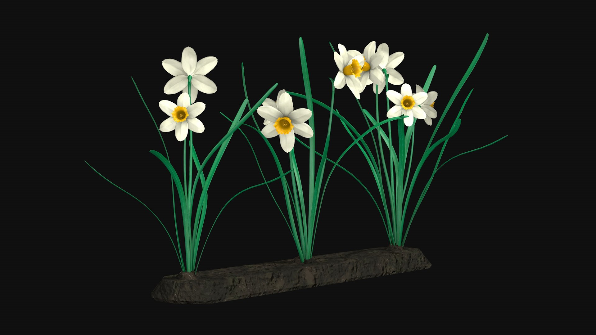 3D Narcissists narcissus model https://p.turbosquid.com/ts-thumb/xL/CJaQHR/DZ/narcissistsnarcissus5/jpg/1748733516/1920x1080/fit_q87/26e8c2f3f533517a87cddaad478265a7649f7c25/narcissistsnarcissus5.jpg