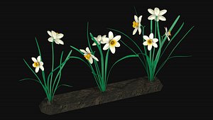 3D Narcissists narcissus model