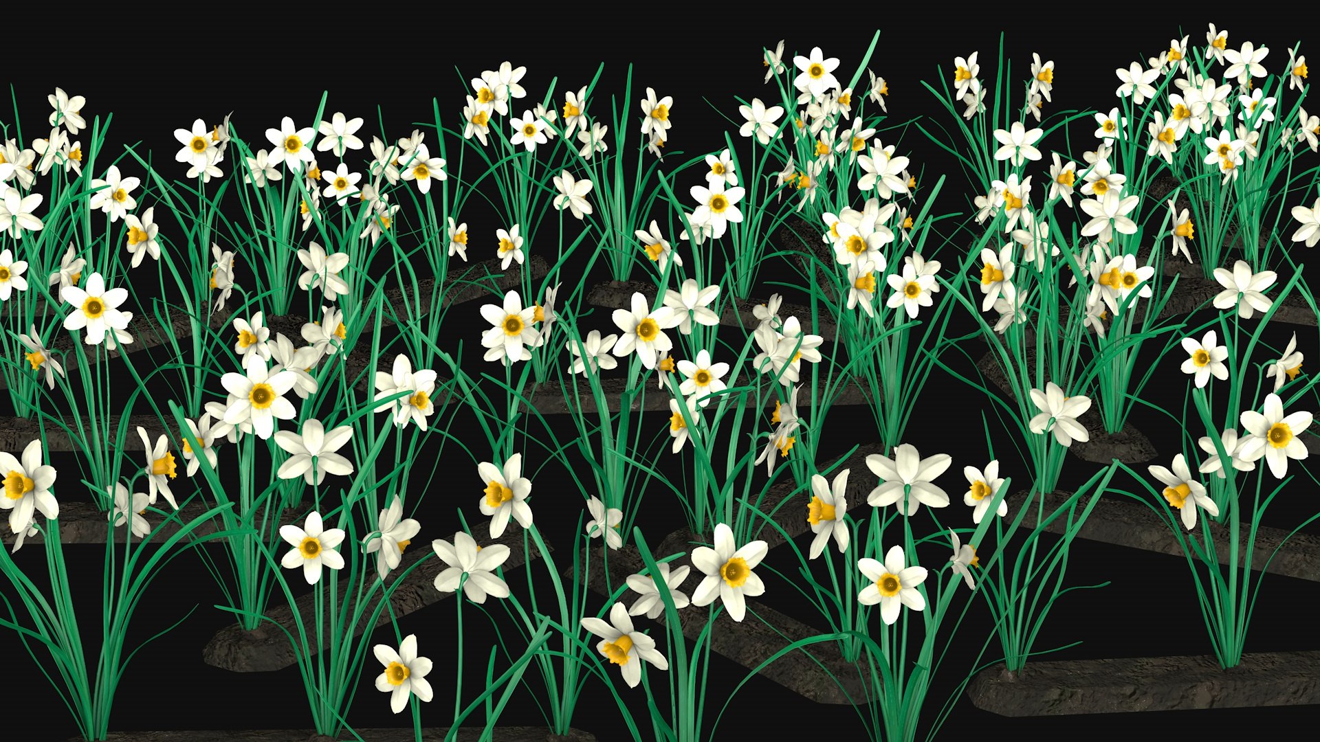 3D Narcissists narcissus model https://p.turbosquid.com/ts-thumb/xL/CJaQHR/WC/narcissistsnarcissus4/jpg/1748733517/1920x1080/fit_q87/08ae52a9b821ce72141879195db7fb73a75cc5f2/narcissistsnarcissus4.jpg